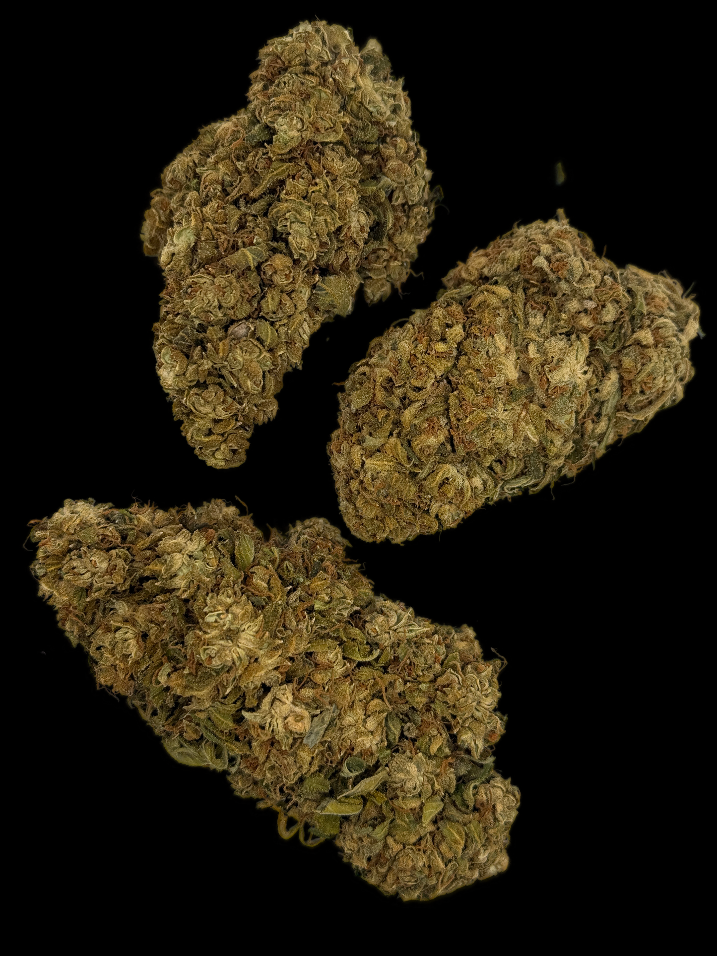 The White CBG by Colorado Fresh CBD