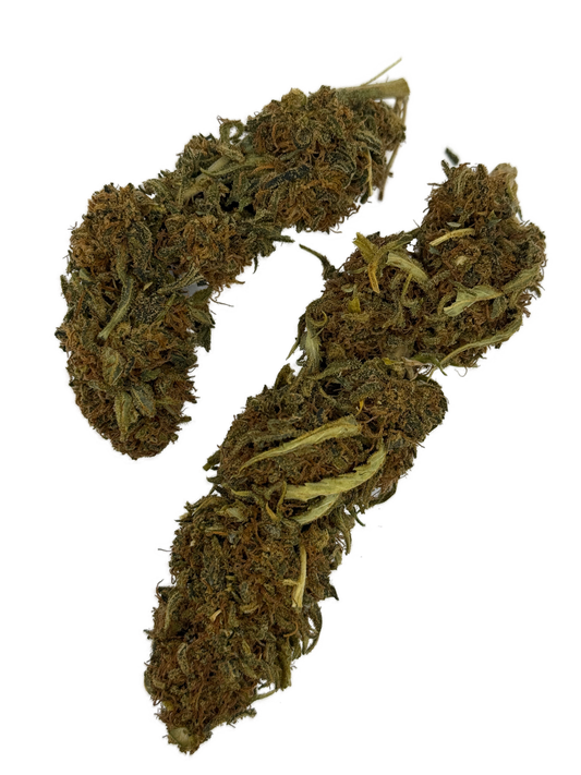 Sour Suver Haze by Sweet Breeze Farms