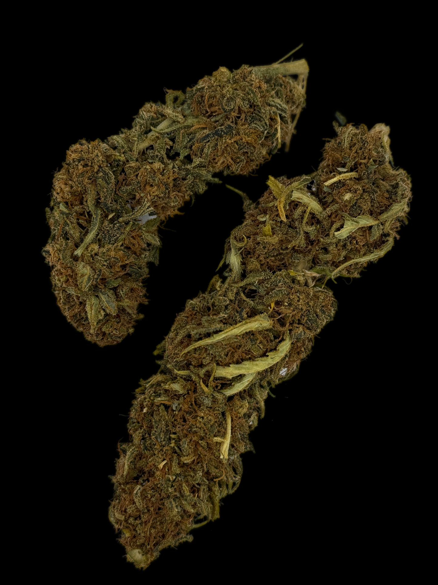 Sour Suver Haze by Sweet Breeze Farms